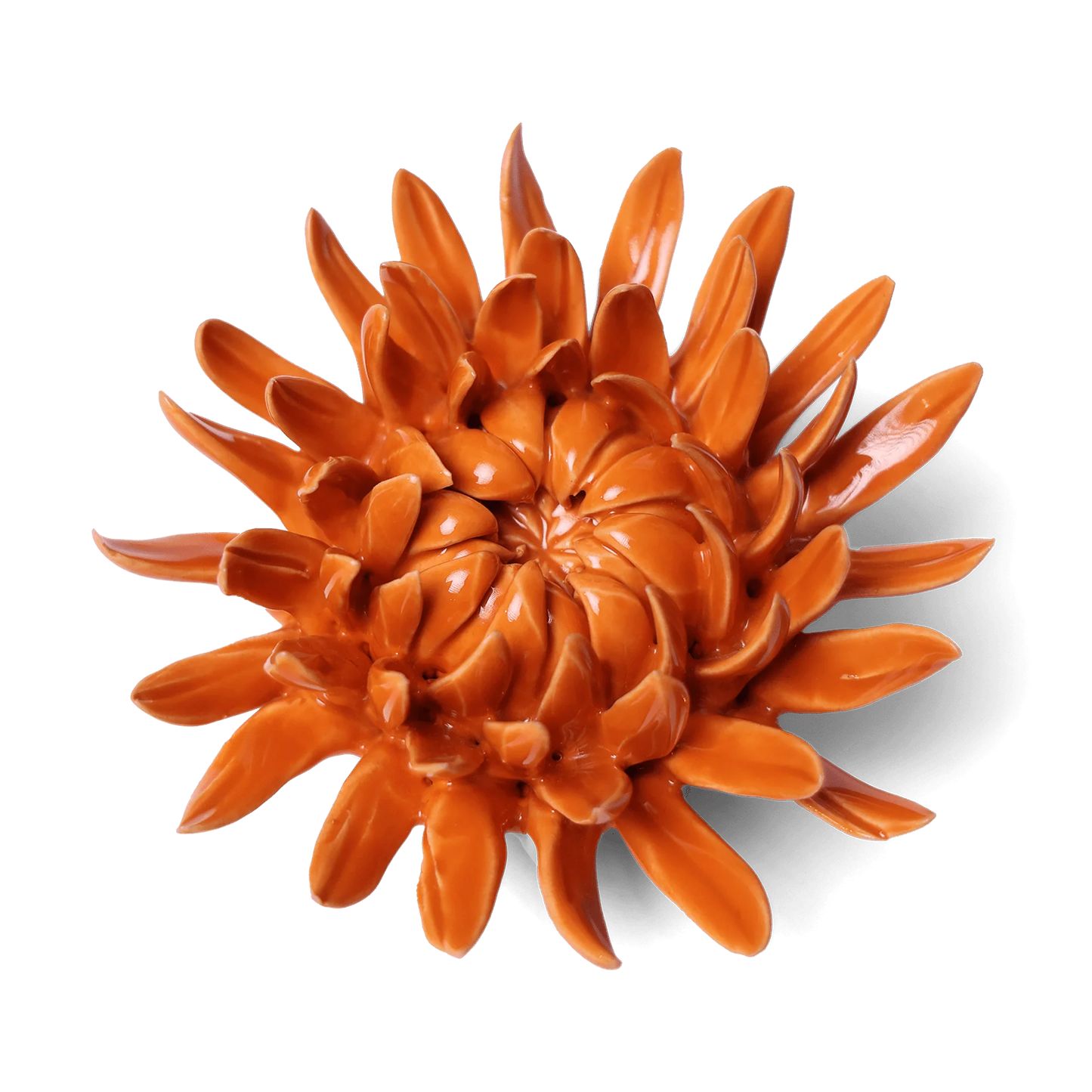 Chive Spring Ceramic Flowers and Wall Art