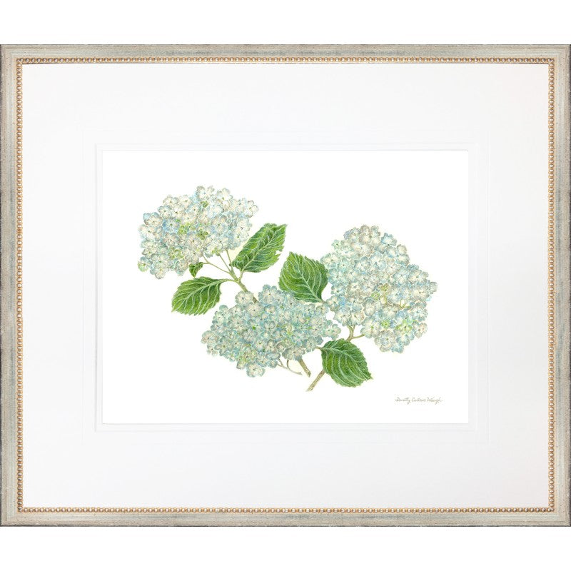 Hydrangea Cluster Prints