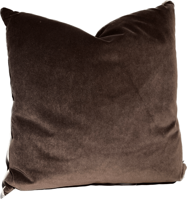 Banks Velvet Pillow- Godiva/Organza
