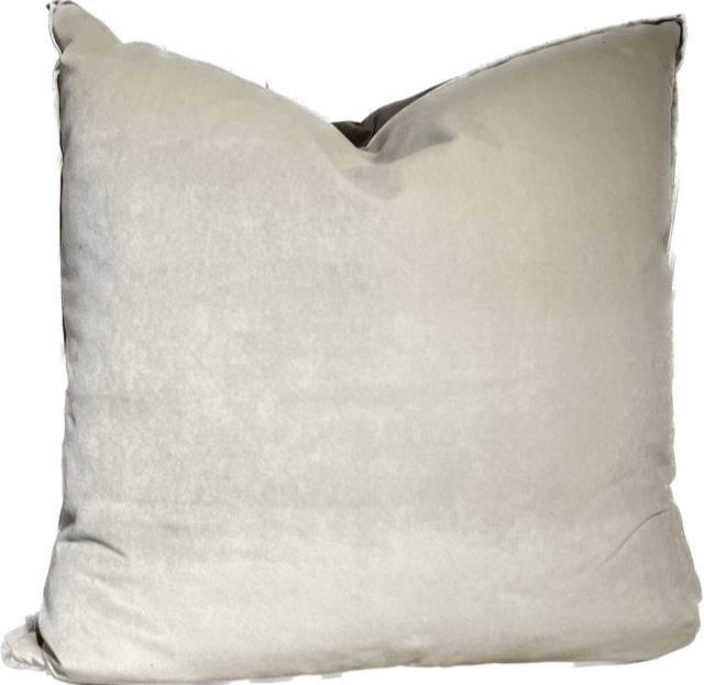 Banks Velvet Pillow- Godiva/Organza