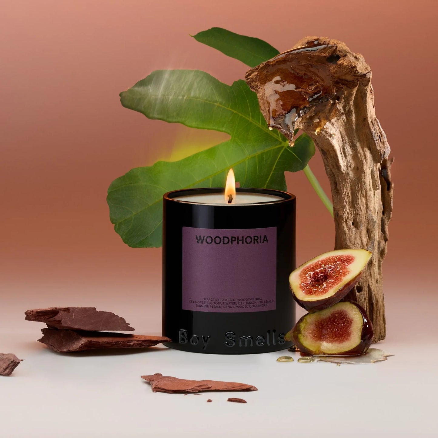 Boy Smells Woodphoria 8.5 oz Candle