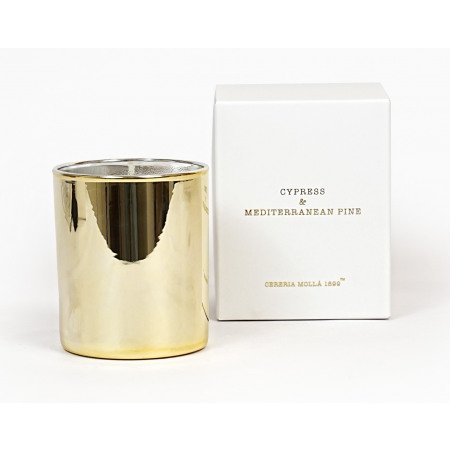 Cereria Molla Cypress and Mediterranean Pine Candle - Candle