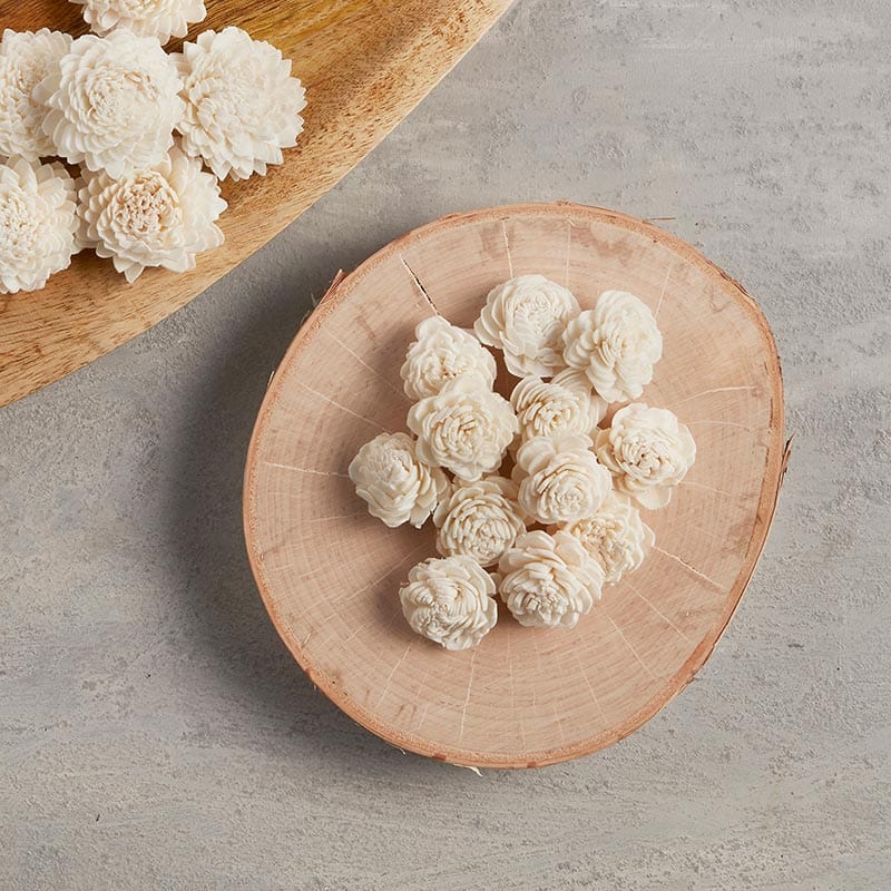 Dried Zinnia Flowers - Home Decor