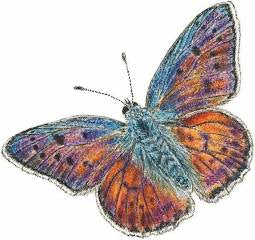 Spring Beverage Napkins 2025 - Papillon - Beverage Napkins