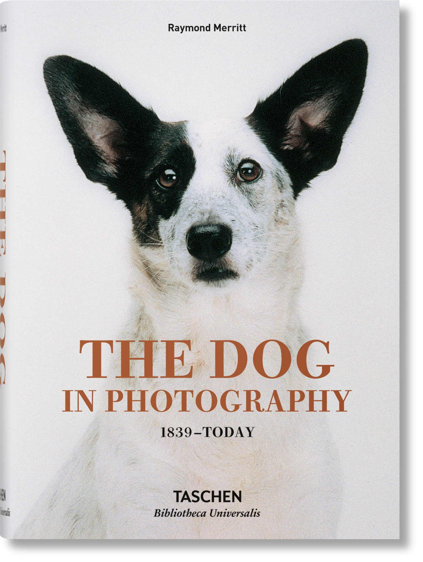 The Dog in Photography Book - Books