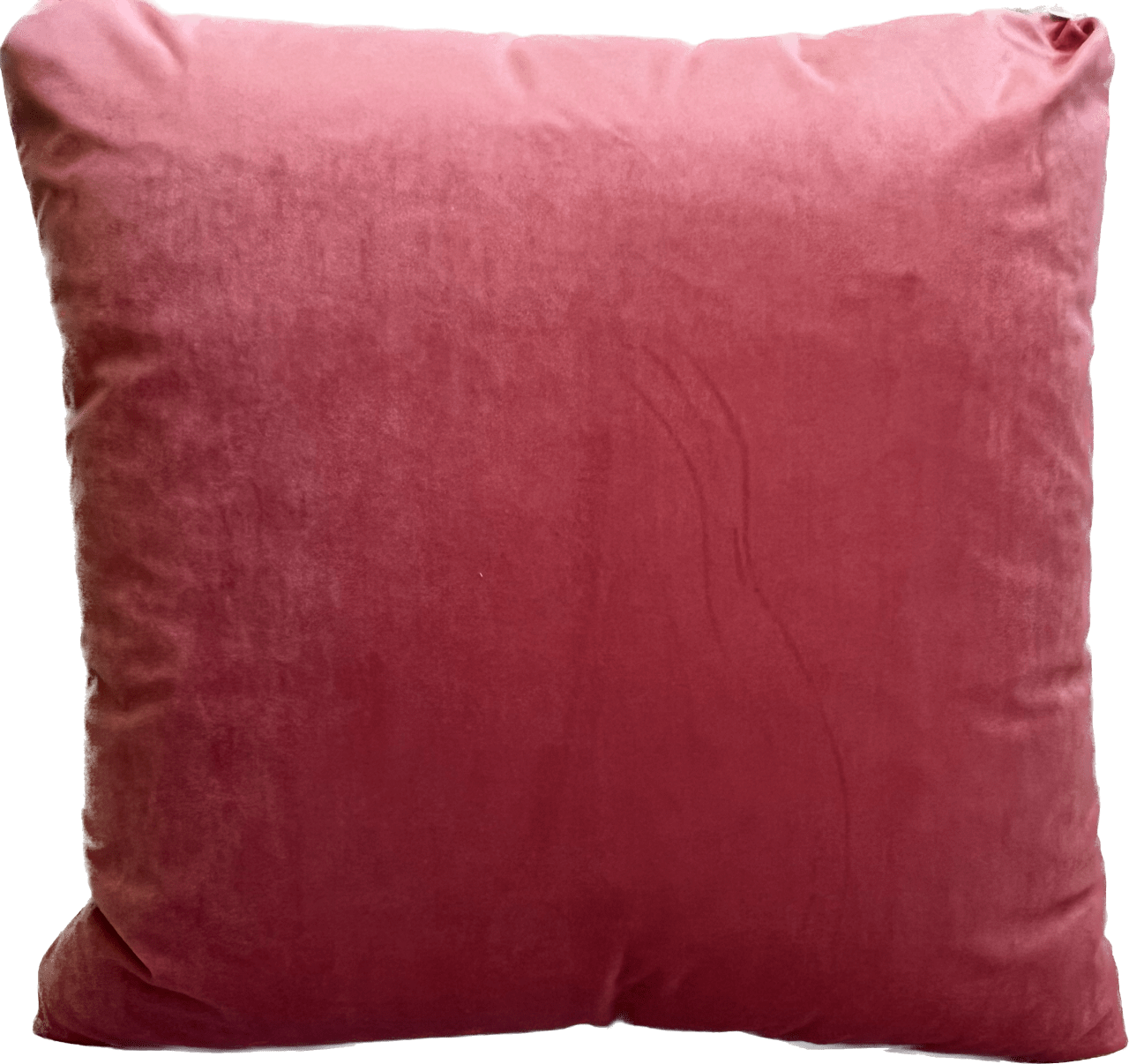 Edie 24"x24" Cut Velvet Pillow with Velvet Back