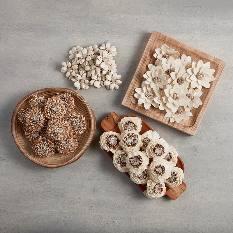 Dried Shola Star- Botanical Decor