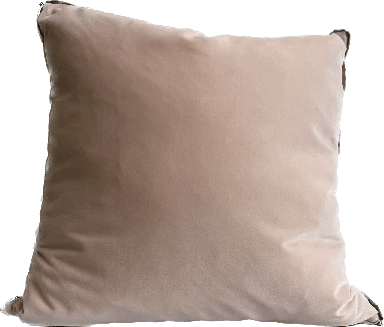 Banks Velvet Pillow-Blossom/Charming