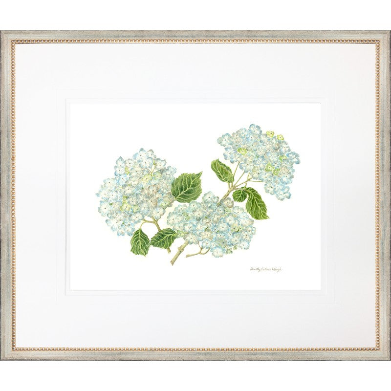 Hydrangea Cluster Prints