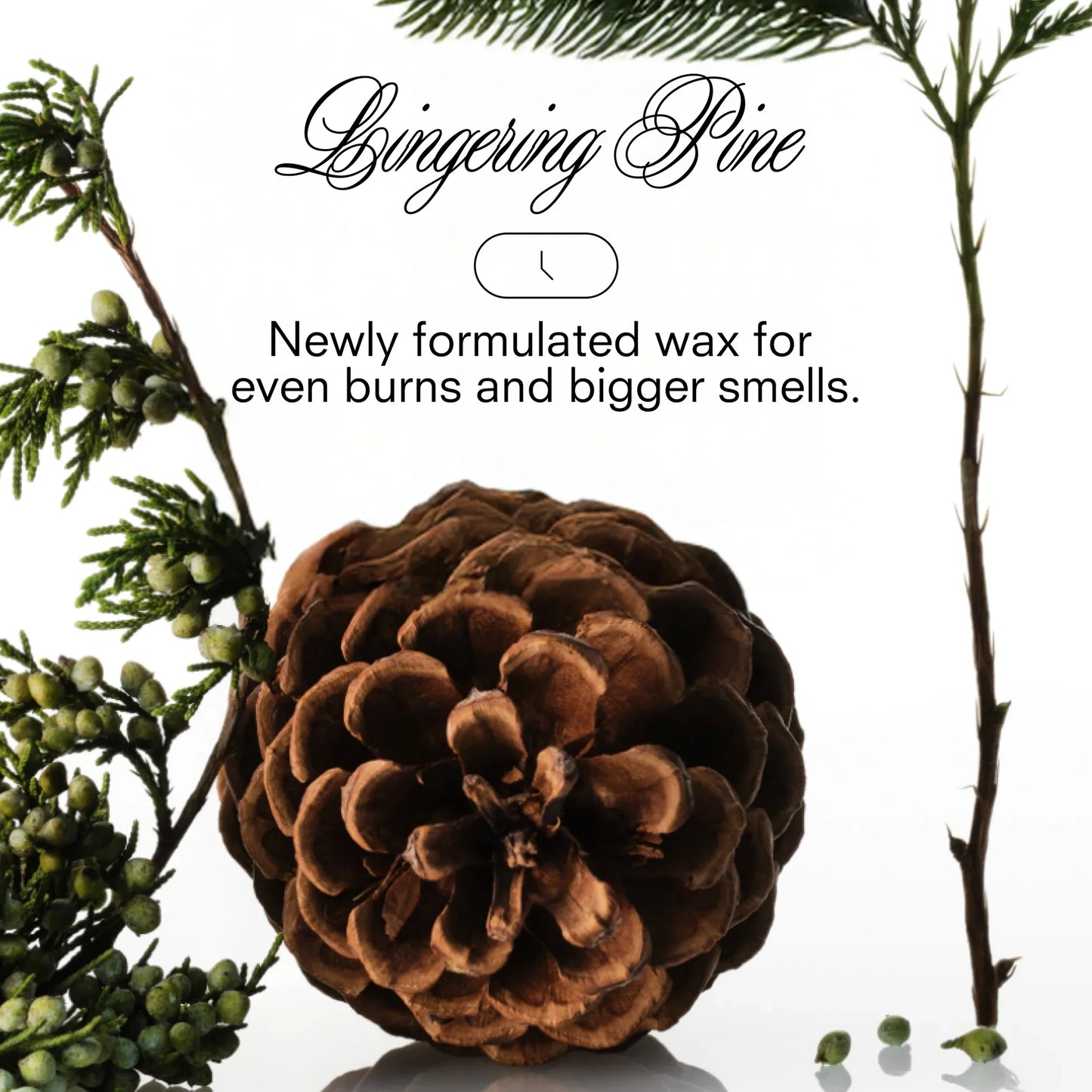 Boy Smells XXMas Tree Candle - Candle