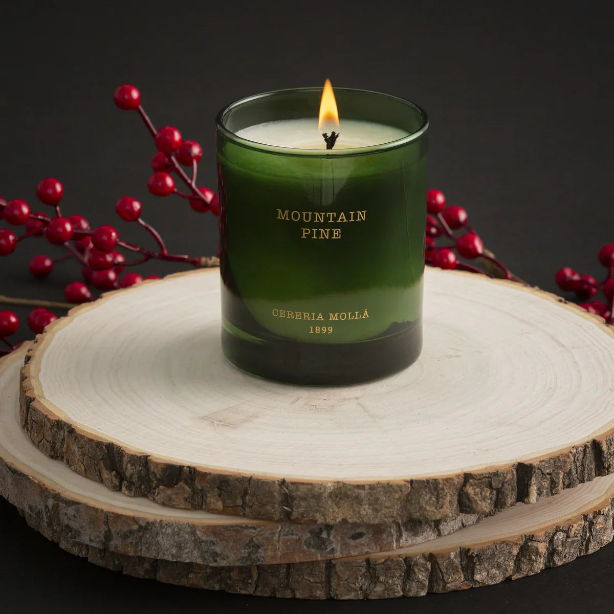 Cereria Molla Mountain Pine Candle - Holiday Home Fragrance