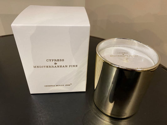 Cereria Molla Cypress and Mediterranean Pine Candle