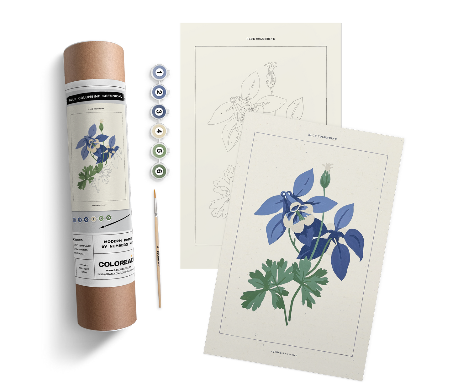 Coloready Modern Paint by Numbers Kits - Blue Columbine Botanical Kit - Artwork
