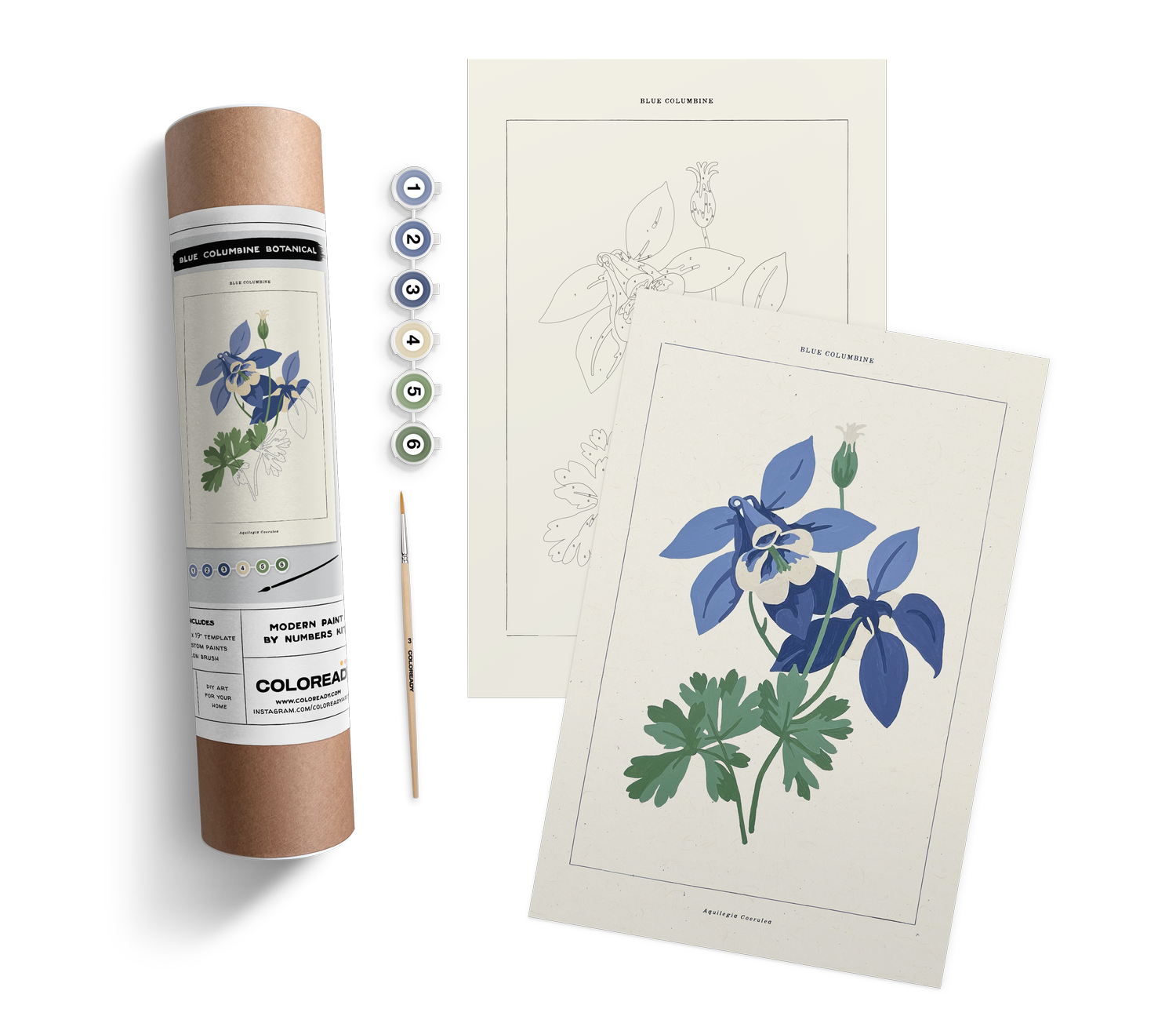 Coloready Modern Paint by Numbers Kits - Blue Columbine Botanical Kit - Artwork