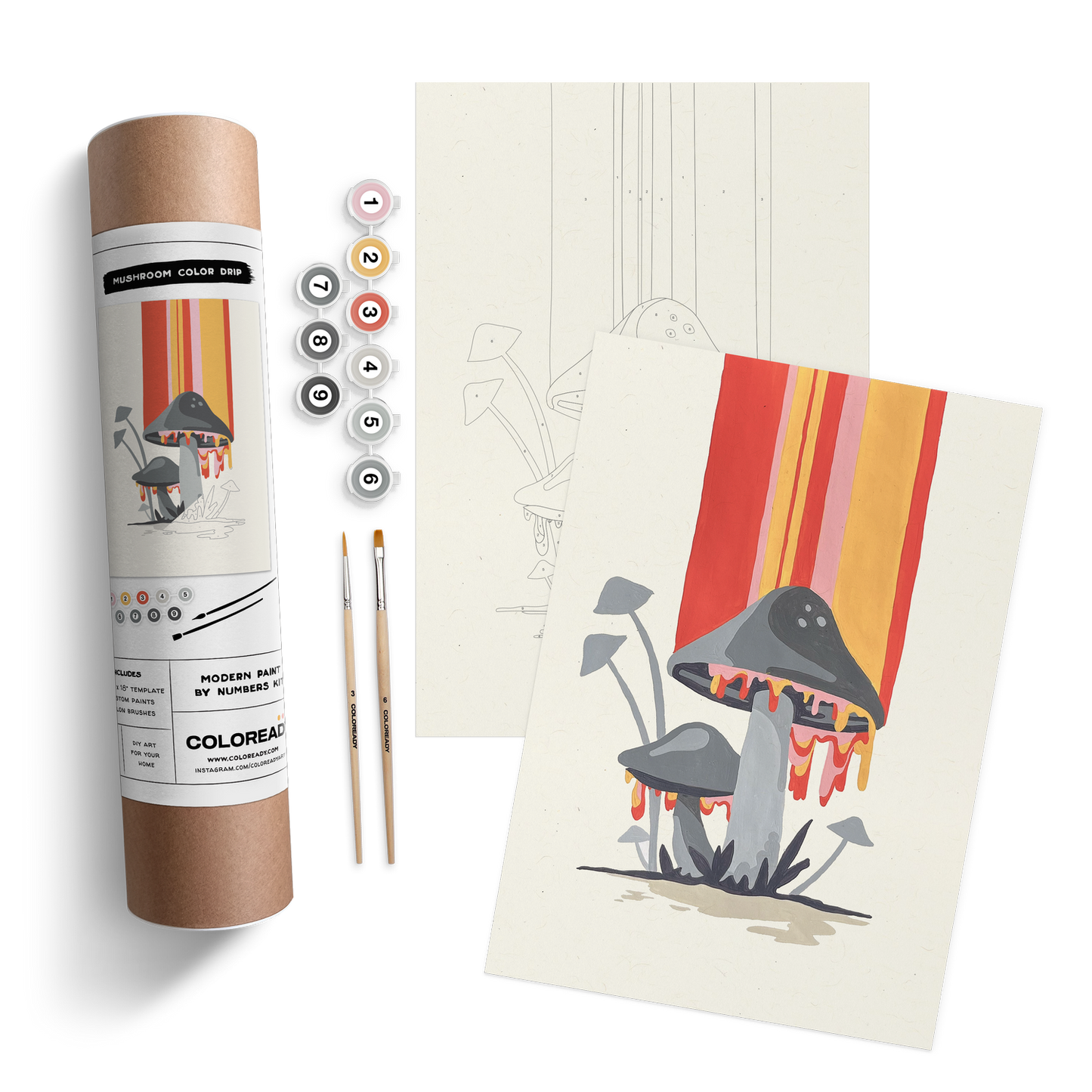 Coloready Modern Paint by Numbers Kits - Mushroom Color Drip Kit - Artwork