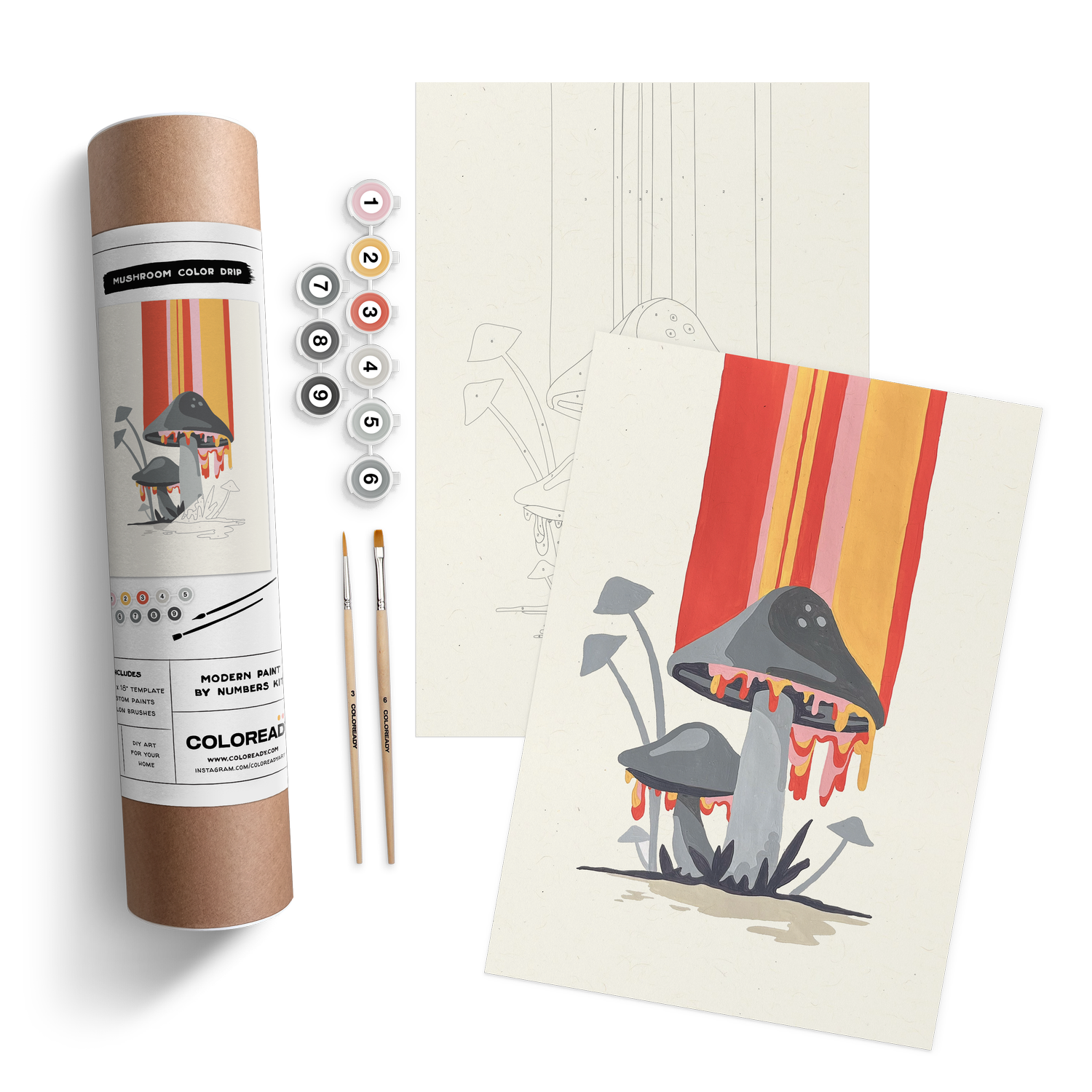 Coloready Modern Paint by Numbers Kits - Mushroom Color Drip Kit - Artwork