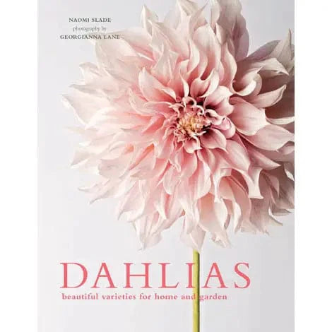 Dahlias Book - Books