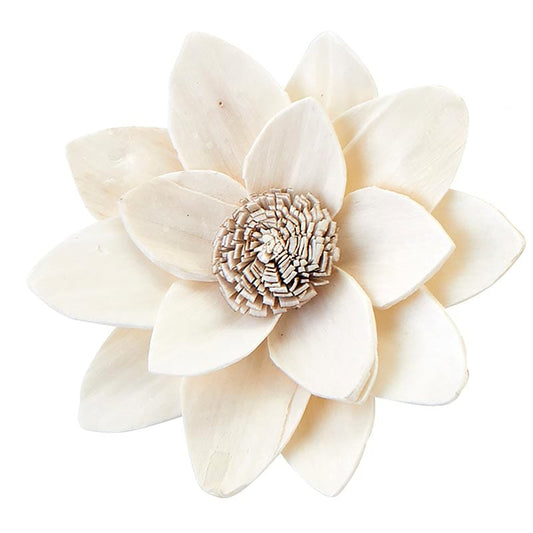 Dried Rukmani Flower - Home Decor