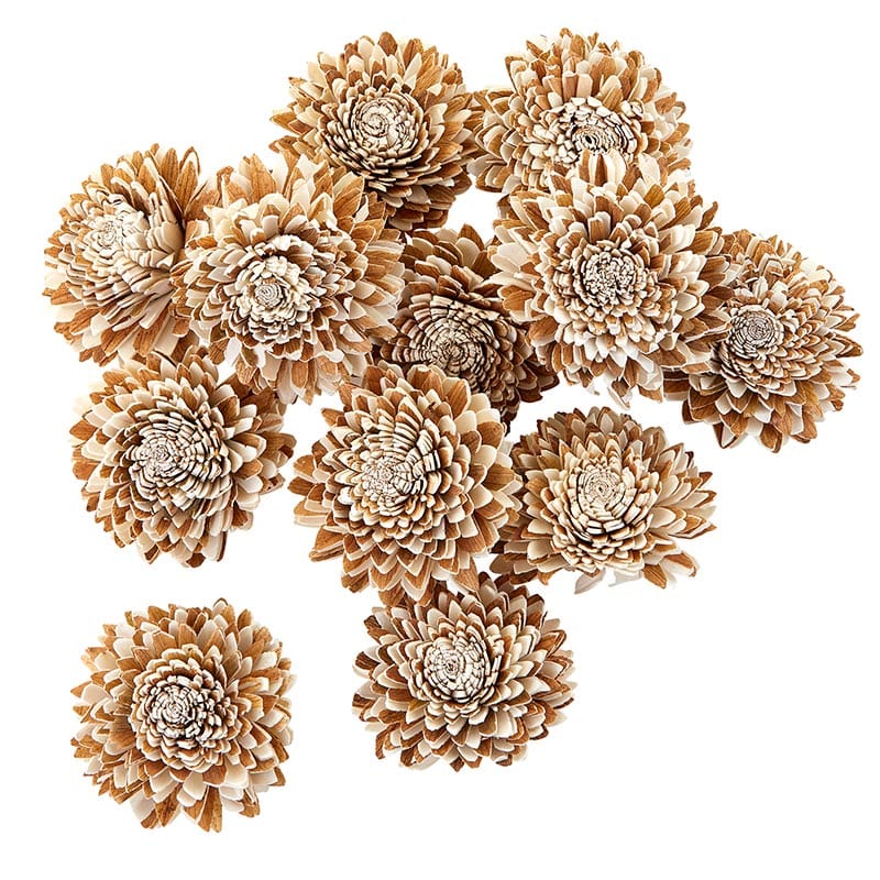 Dried Shola Star- Botanical Decor - Thumbnail 2