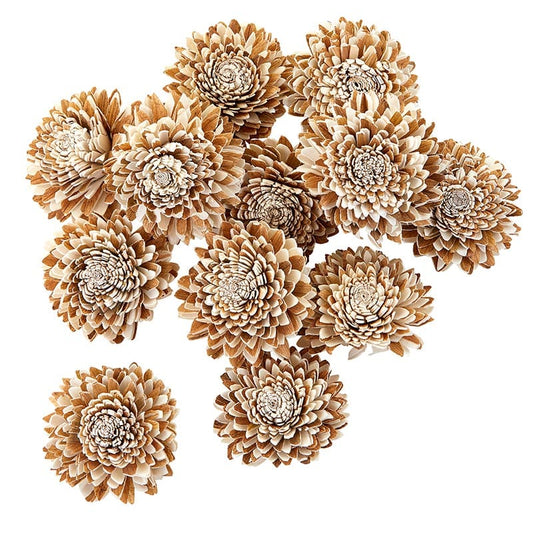 Dried Shola Star- Botanical Decor - Home Decor