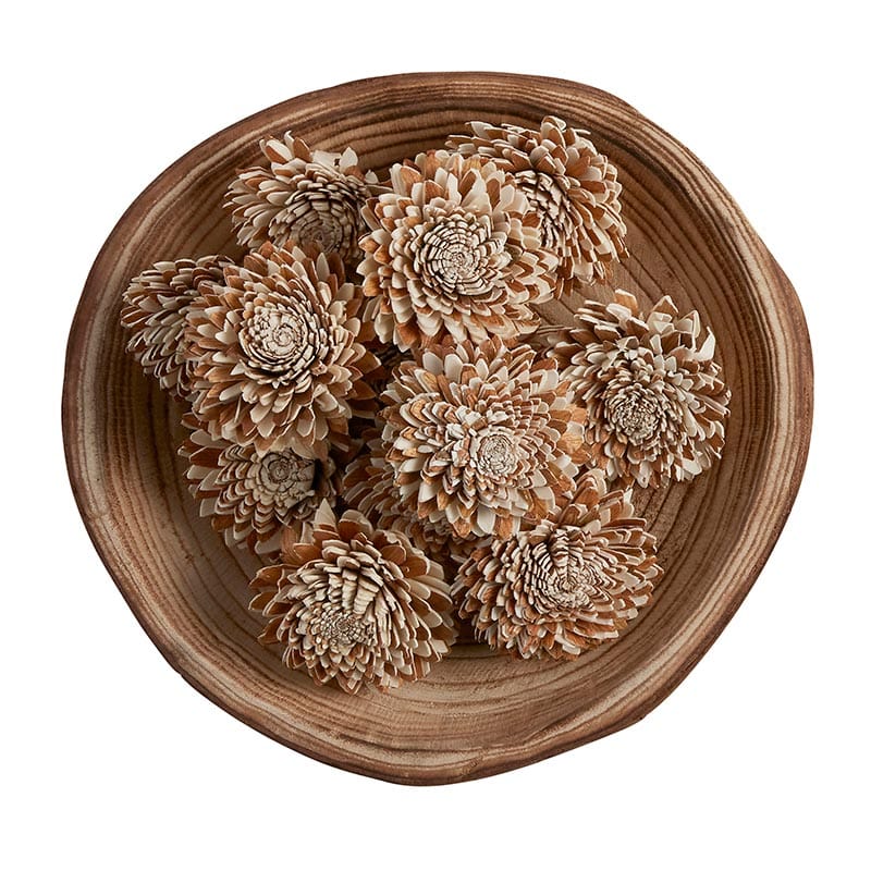 Dried Shola Star- Botanical Decor - Home Decor