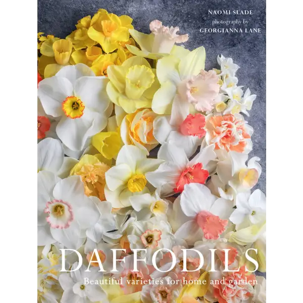 Daffodils Book