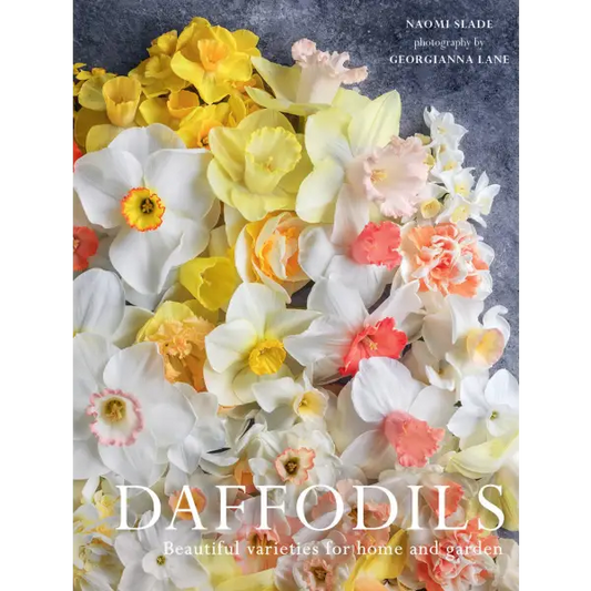 Daffodils Book