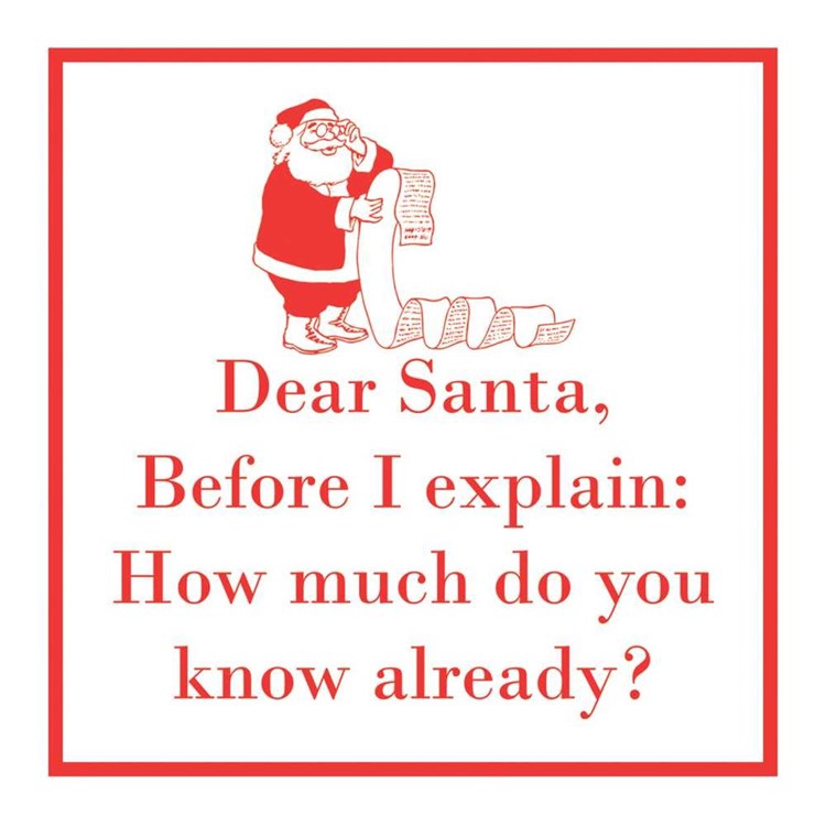 Holiday Beverage Napkins - Before I Explain