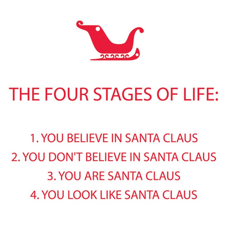 Holiday Beverage Napkins - Four Stages