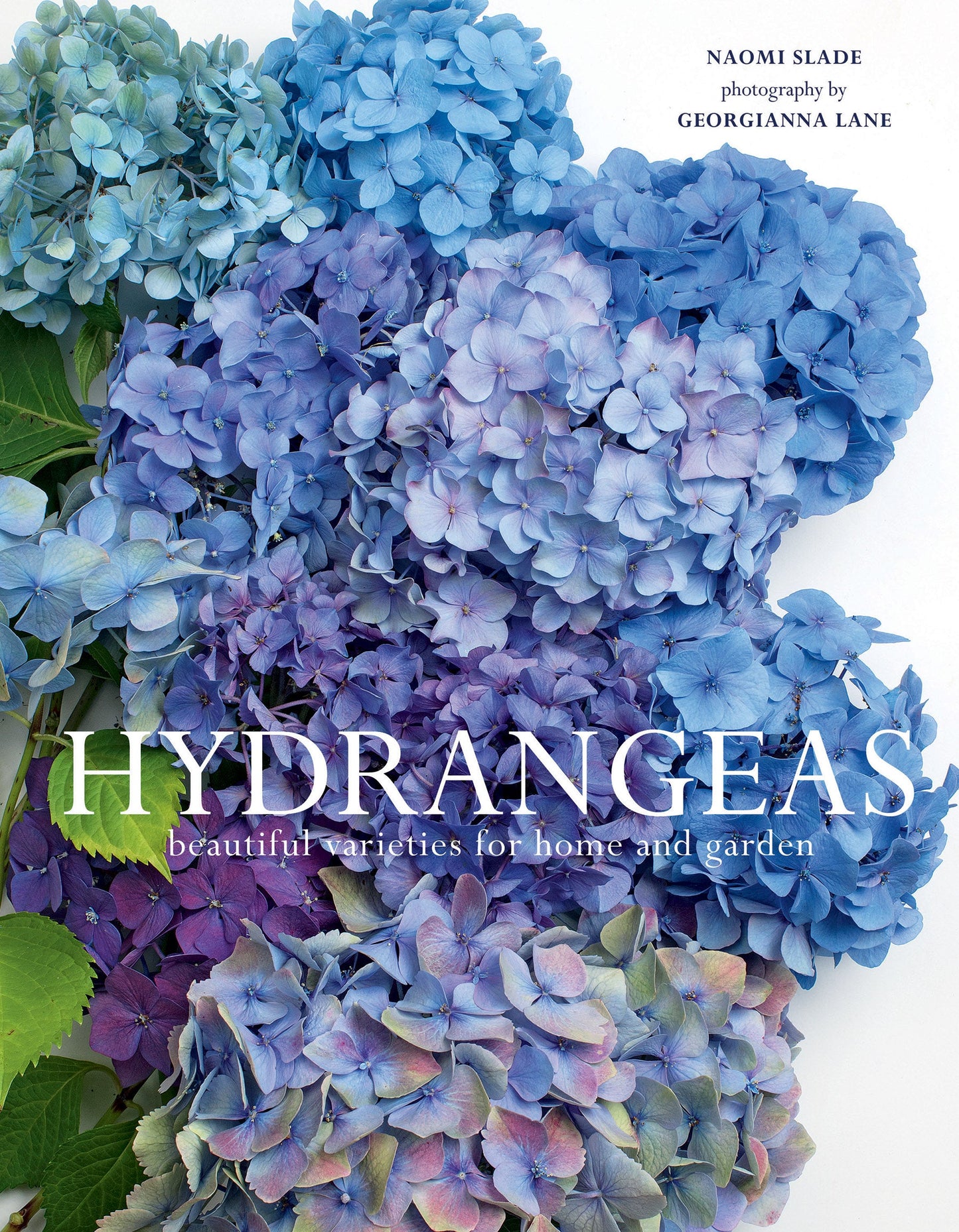 Hydrangeas Book - Books