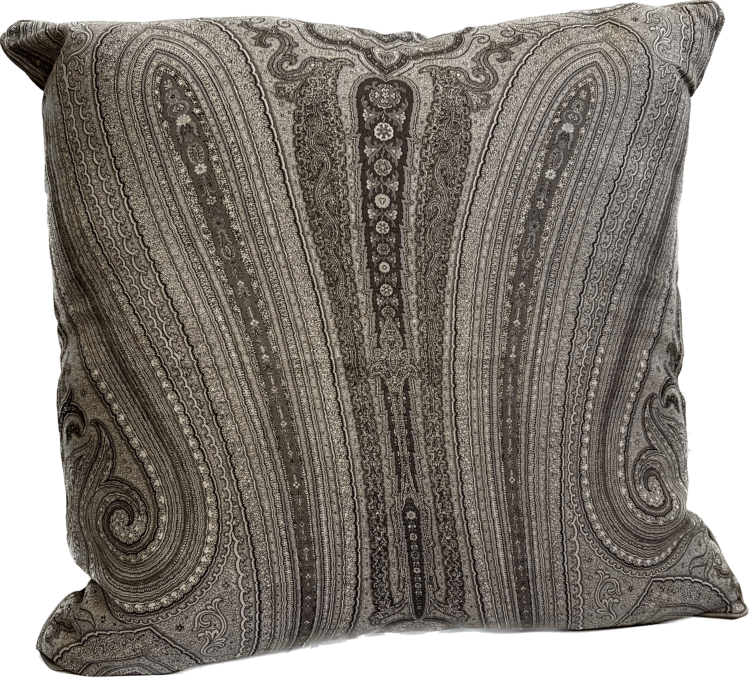Julia 22"x22" Charcoal Paisley Pillow