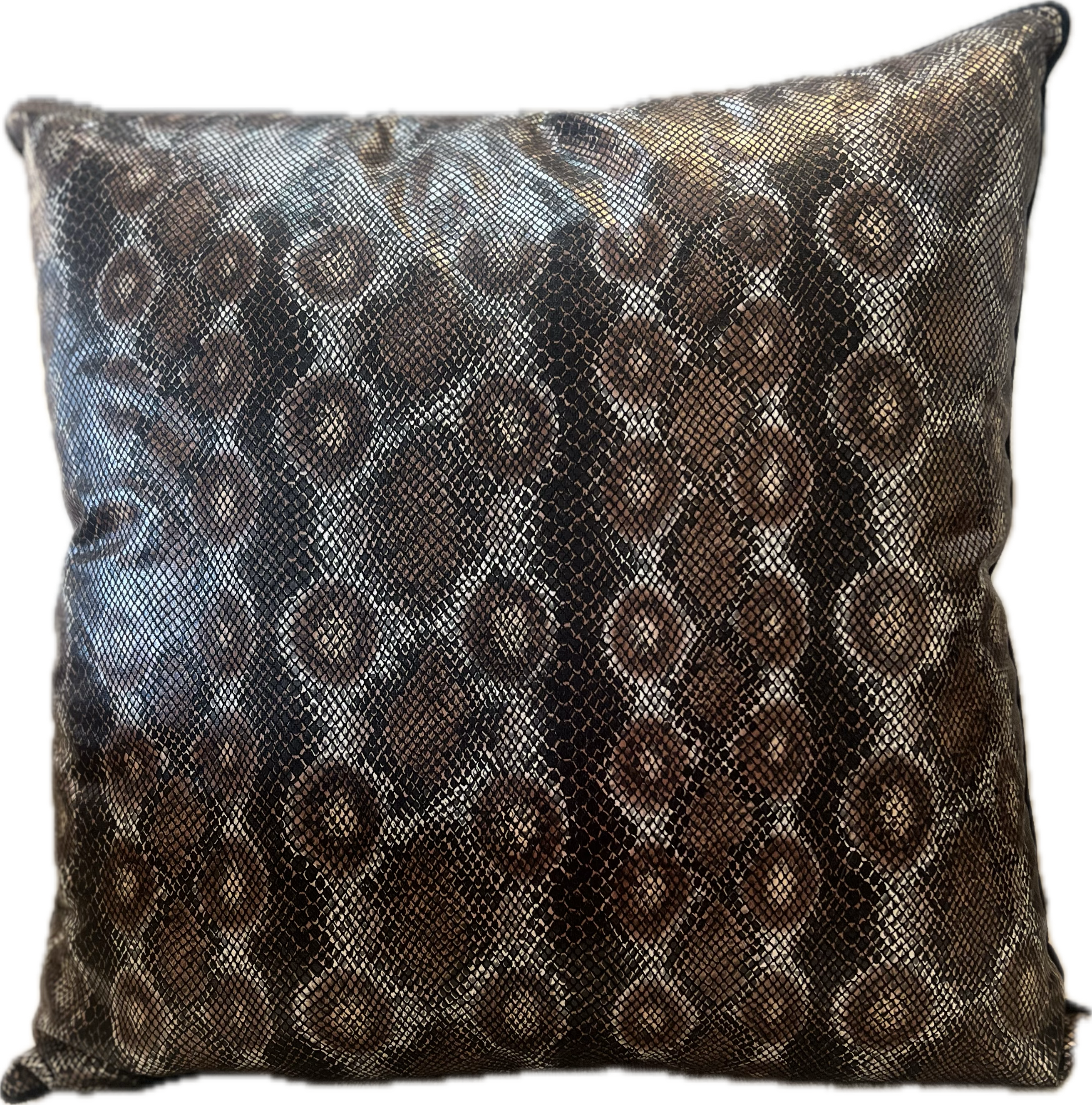 Snake Charmer Pillow