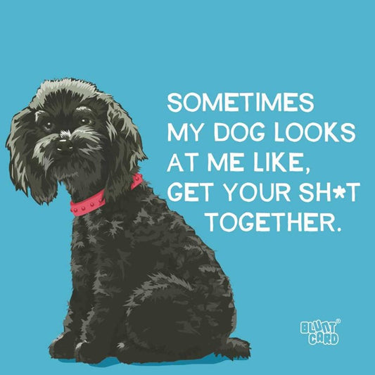 Sometimes My Dog Beverage Napkins - Beverage Napkins