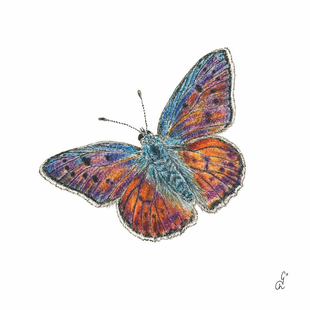 Spring Beverage Napkins 2025 - Butterfly - Beverage Napkins