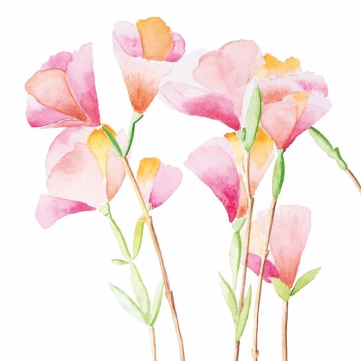 Spring Beverage Napkins 2025 - Godesias - Beverage Napkins