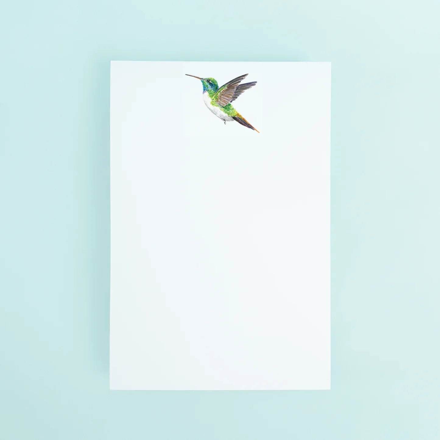 Taylor Paladino Notepad - Hummingbird
