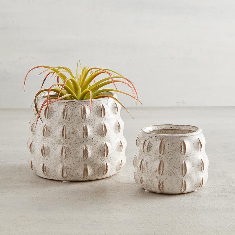 Textured Small Pot - Home Decor