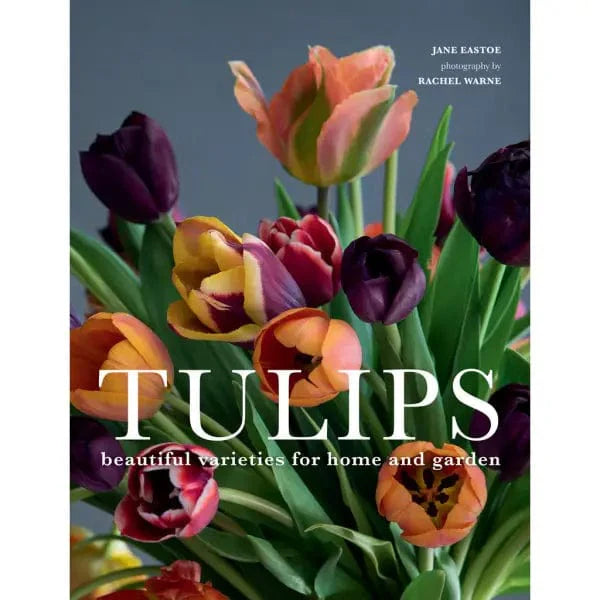 Tulips Book - Books