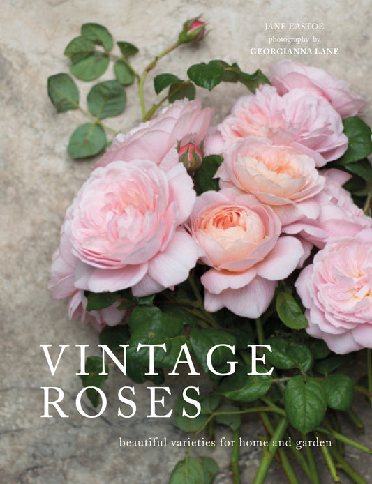 Vintage Roses Book - Books